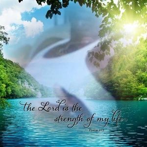 Meet your Posher, Peter